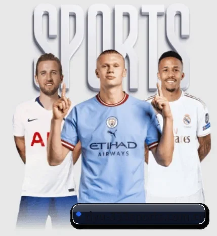 tiyu-333sports.com.cn的故事 - 体育资讯内容服务