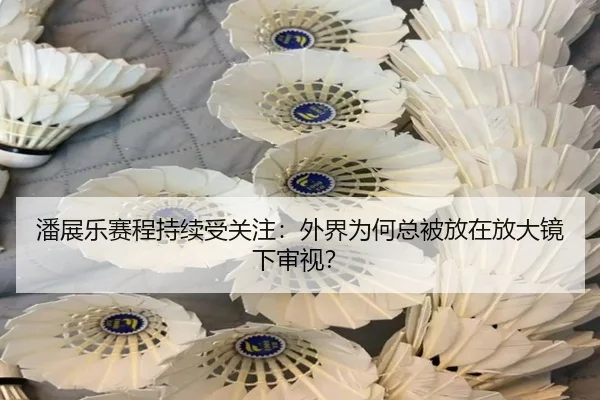 潘展乐赛程持续受关注：外界为何总被放在放大镜下审视？